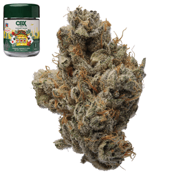 Premium-Cannabiotix-Casino Kush-image-1