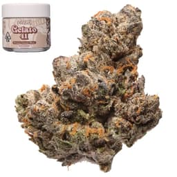 Premium-Made-Gelato 41-image-1