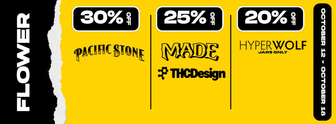 Stilo Banner
