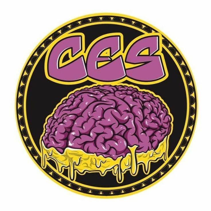 CES