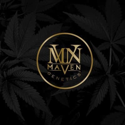 Maven Genetics
